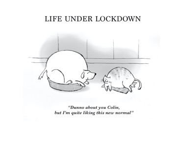 Life Under Lockdown
